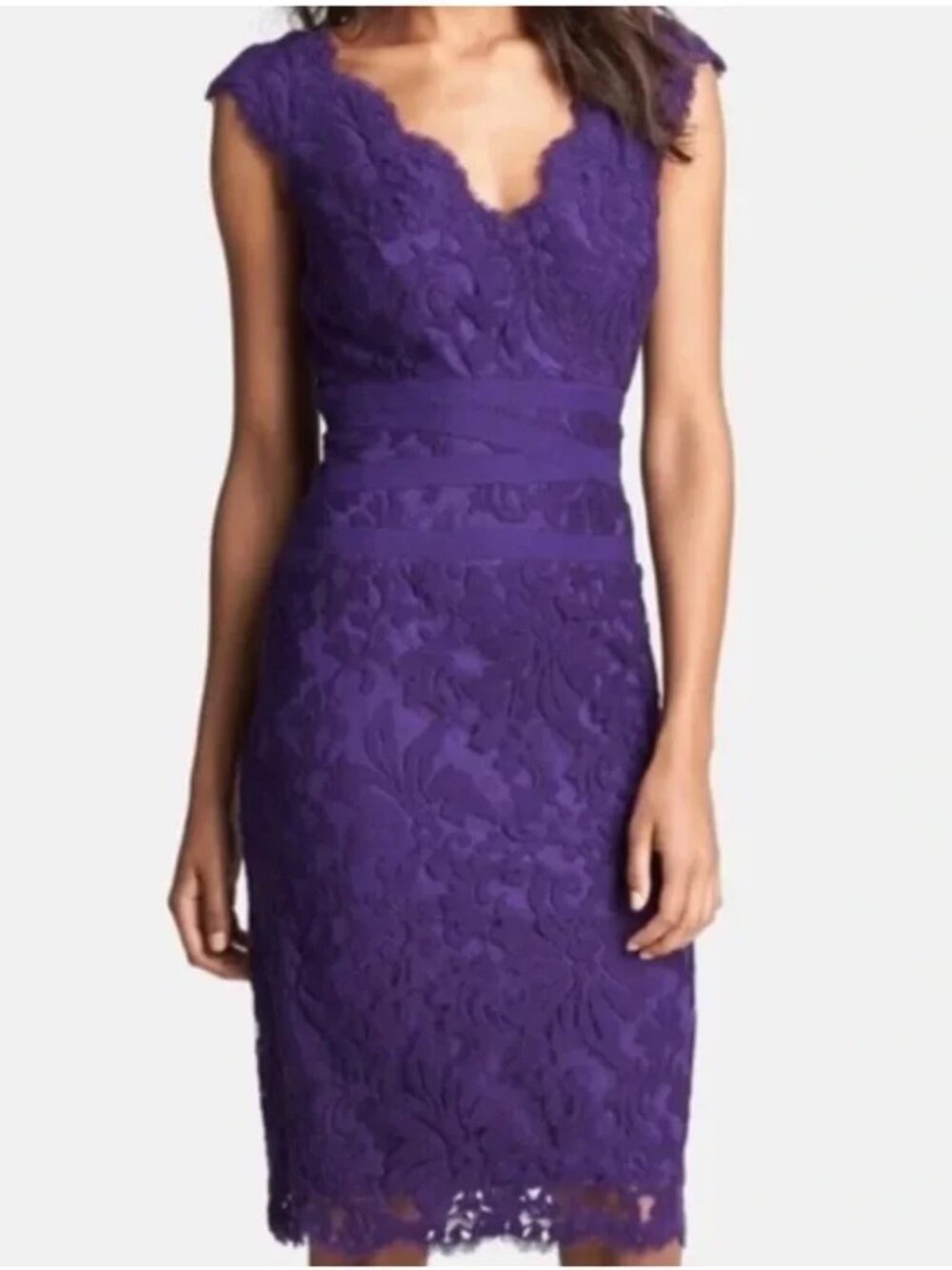 Tadashi Shoji Purple Embroidered Lace Cocktail Dress